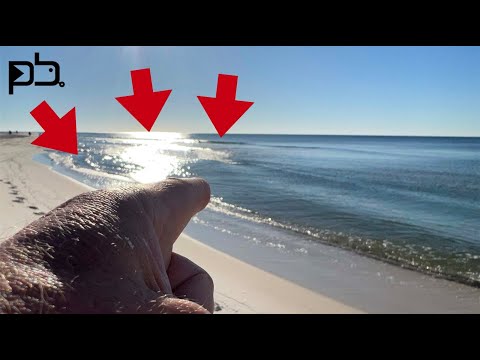 How to Target FLOUNDER in the SURF! This HOLE was PACKED! Perdido Key Surf Fishing.