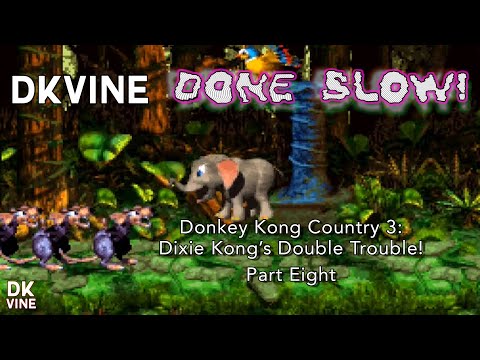 DK Vine Done Slow! - Donkey Kong Country 3: Dixie Kong's Double Trouble! (part eight)
