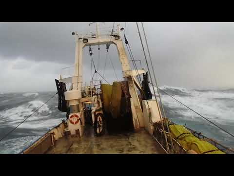 BIANCA NC 312 CUXHAVEN