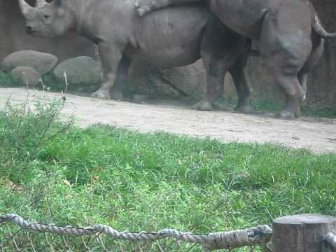 "How to Tell a Stubborn Male NO!!