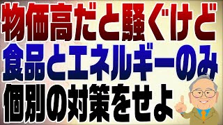- 1257回 物価高は食品とエネルギーだけ!こんな時は個別対策。利上げはもってのほか