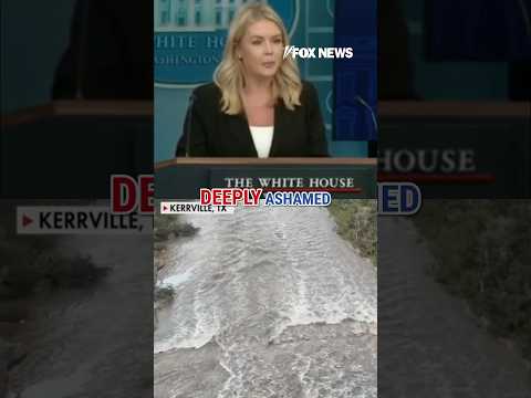 Leavitt calls out Dems' 'depraved' Texas flood lies #shorts #foxnews #news #us #fox #texas #trump