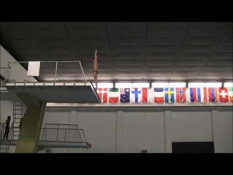 Best Dives of A-Boys Platform Final - International Youth Diving Meet Dresden 2013
