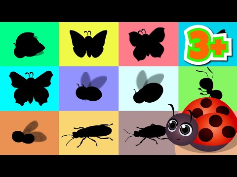 Owady - Bajki dla dzieci - Filmy edukacyjne po polsku