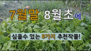 7월말 8월초에 심을 수 있는 8가지 추천 작물! #7월에 심는 작물 #8월에 심는 작물.