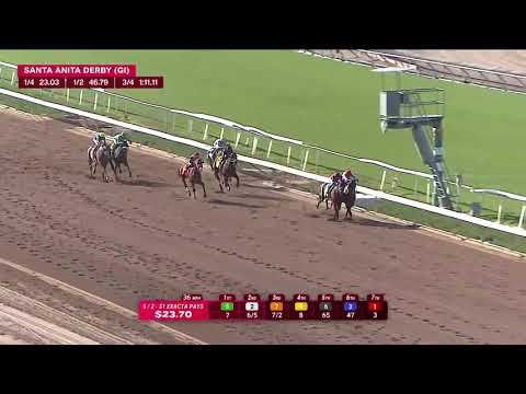2026/4/5(日) サンタアニタダービー（G1）