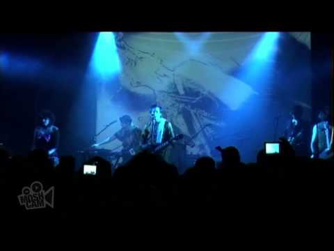 Videoclip de Bunny Ain’t No Kind of Rider (Live) — of Montreal