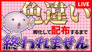 色原種ウパー孵化して配布するまで終われません※【ポケモンSV】