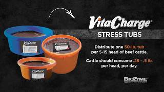 Vita Charge® Stress Tubs