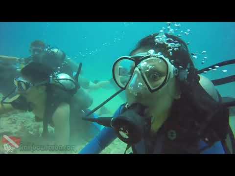 Sea Tiger shipwreck off Honolulu with SCUBA divers descending from a Waikiki charter