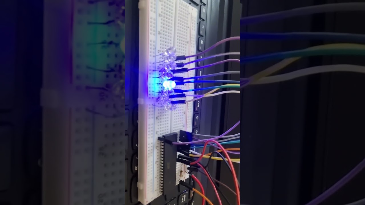 Bascom AVR Makes LEDs Dance!