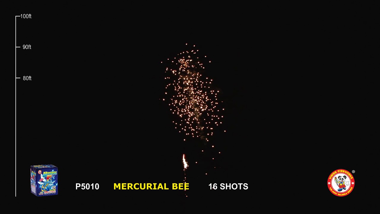 P5010 MERCURIAL BEE 16'S  WINDA FIREWORKS