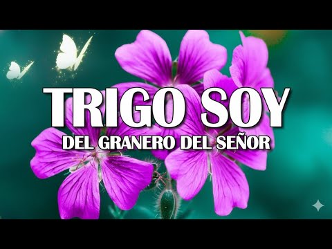 TRIGO SOY DEL GRANERO DEL SEÑOR – Himnos Antiguos de la Asamblea de Dios | Selección de Himnos