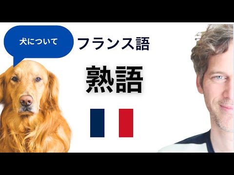フランス語での犬の名前
