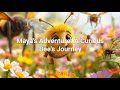 Maya The Bee Stories For Kids Fairy Tales Bedtime Stories I 4K