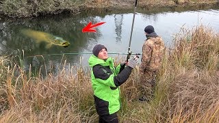 Ловушка для ловля щуки на живца с берега