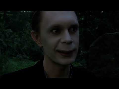 Play Video Youtube Video