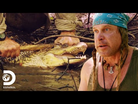 ¿Dave realmente necesita matar a este cocodrilo? | Desafío x 2 |  Discovery en Español