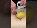 Lemon Cutting Techniques New Lemon Cutting Lemoncreation Satisfying