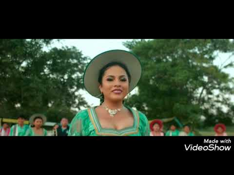 100% SALAY - LOS DELFINES DEL AMOR ( BAILA MI CHOLITA )