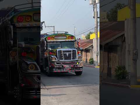 Transporte Méndez en San Antonio suchitepequez #busesdeguatemala #velocidad #carretera #camioneros