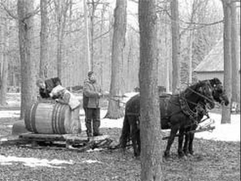 La cabane à sucre, Albert Viau, 1941