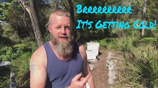 Preparing Bees For Winter