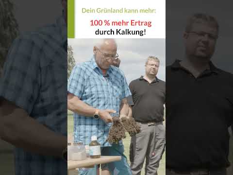 Kalk streuen bringt 100 % mehr Ertrag! Auch Wasseraufnahme steigt! #grünland
