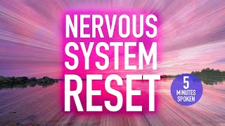 Guided Meditation: 5-Minute Nervous System Reset – Daily Habits