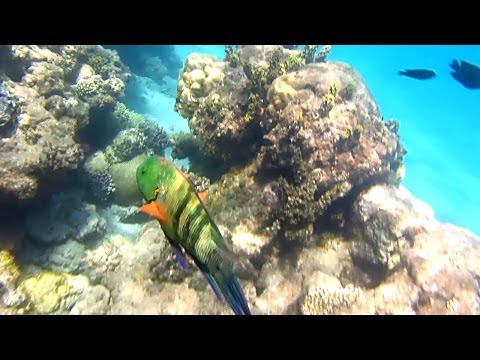 У пляжа под водой G5 - октябрь 2013