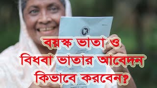 বয়স্ক ভাতার জন্য আবেদন করার নিয়ম