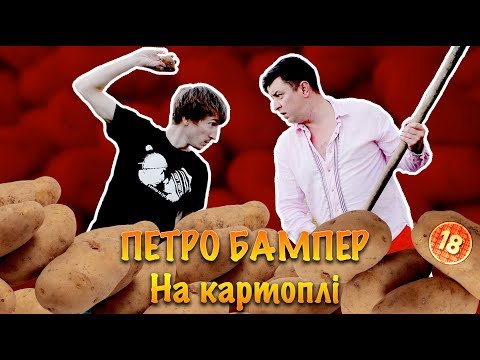 Бампер і Сус на картоплі