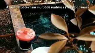 Download lagu Story WA Selamat Malam Sholawat mp3