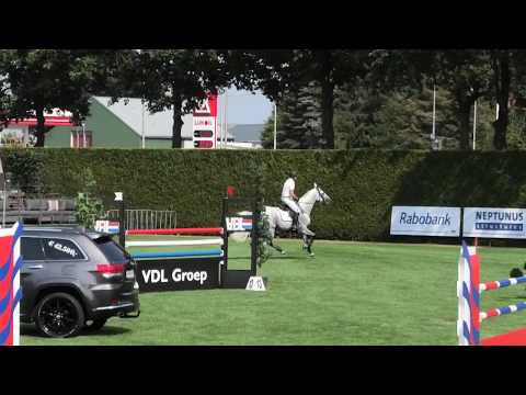 Cape Coral RBF Z (Cornet Obolensnky x Argentinus 2009) Jumping Peel & Maas