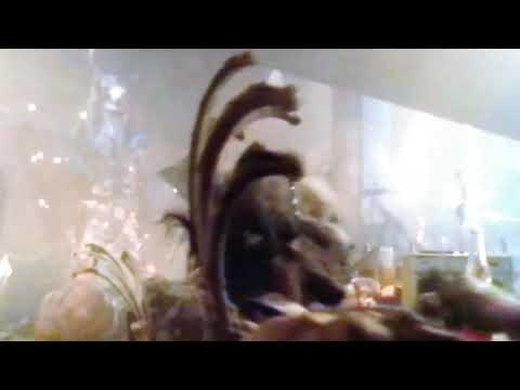 Cannibal House Massacre fake trailer (aka TCM2 film clip with voice-over)