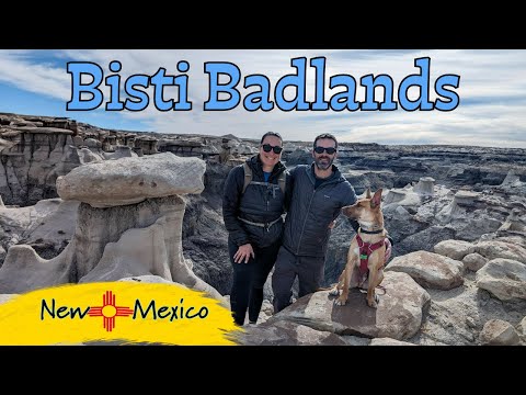 Exploring Bisti Badlands: A Desert Adventure You Won't Forget! New Mexico