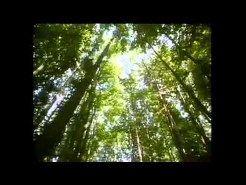 Gnostics. Part III: The Divinity of Man.