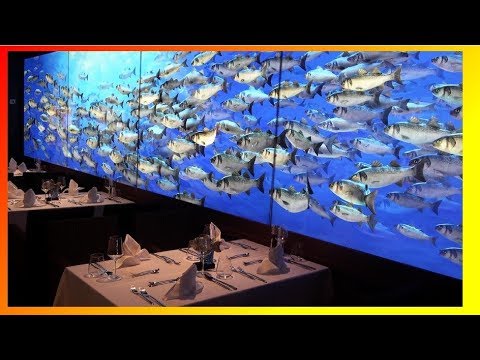 AIDANOVA - DAS ESSEN IM FISCHRESTAURANT OCEAN`S