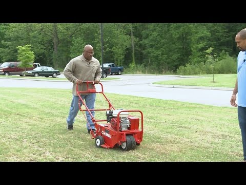 Lawn Aeration - Family Plot