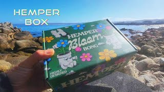 NEW HEMPER BOX! 💀 nothing for sale