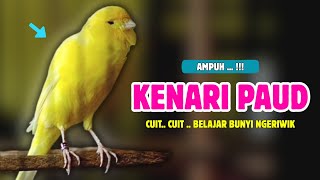 Download lagu KENARI Paud !!! Pancingan KENARI PAUD Belajar Bunyi Cocok Untuk Kenari Belajar Bunyi Ngeriwik |598 mp3 Download lagu KENARI Paud !!! Pancingan KENARI PAUD Belajar Bunyi Cocok Untuk Kenari Belajar Bunyi Ngeriwik |598 mp3