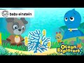 The Colors Of Coral Coral Reefs Day 🪸 Baby Einstein Toddlers Ocean Show Kids Education