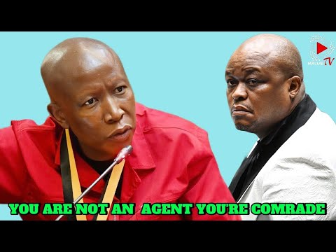 Julius Malema Grilling Brown Mogotsi at the Ad Hoc Committee 