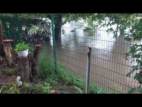 Kamp Kolpa poplave v kampu