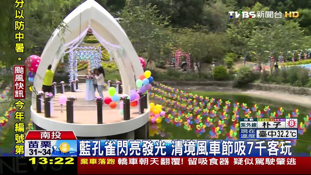 藍孔雀閃亮發光　清境風車節吸7千客玩