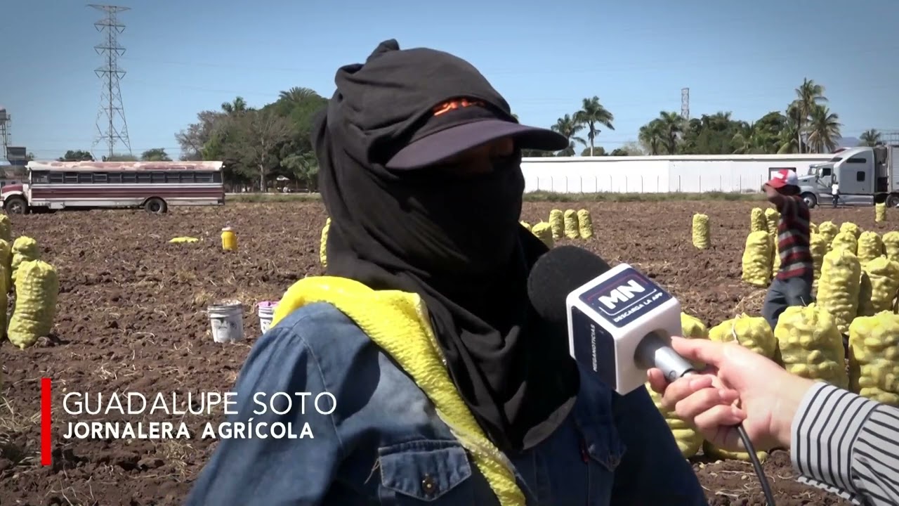 TIEMPOS DE BONANZA PARA FAMILIAS JORNALERAS