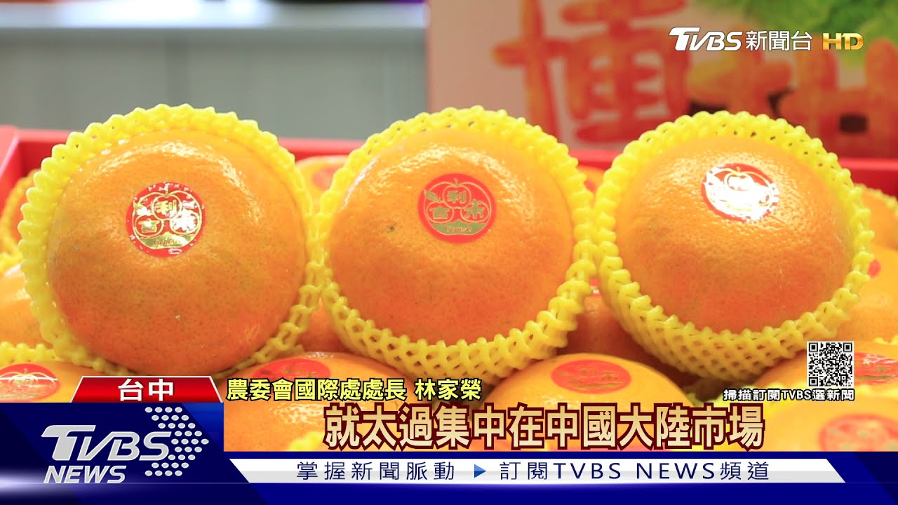 中國下個禁柑橘進口？　果農憂喊「沒錢賺」