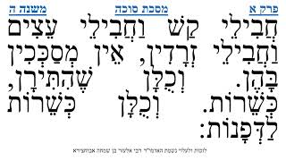 מסכת סוכה פרק א משנה ה