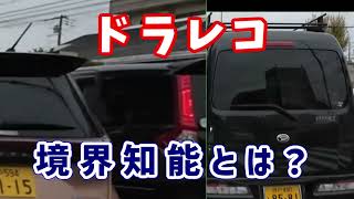 ドラレコ20241116 境界知能ってこんな奴等?