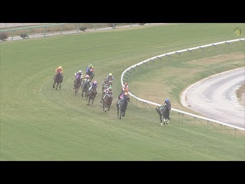 第７回 ＯＲＯターフスプリント◆H29（2017/10/21）